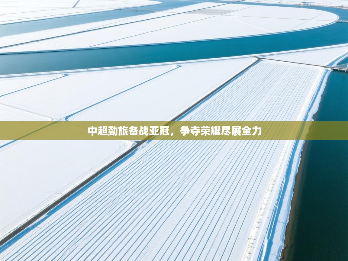 中超劲旅备战亚冠,争夺荣耀尽展全力 第2张