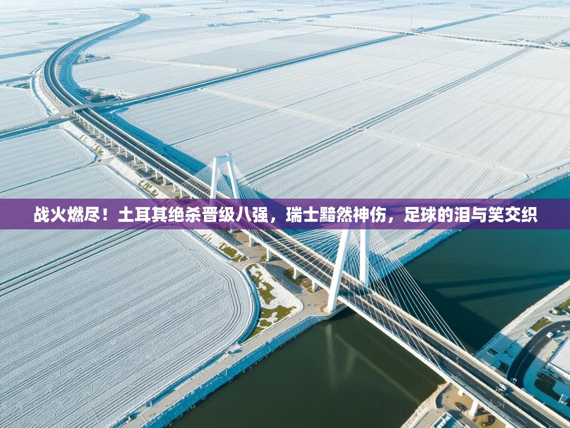 战火燃尽！土耳其绝杀晋级八强，瑞士黯然神伤，足球的泪与笑交织