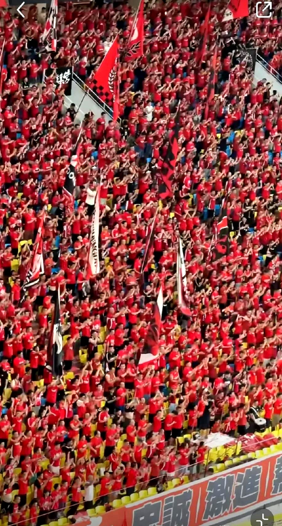 开运体育入口-关于帕尔梅拉斯主场气氛火爆，球迷助威成强大后盾的信息
