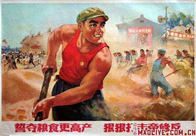 关于恩菲尔德球员积极备战，誓夺更好名次的信息